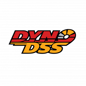 DYNO-DSS-1.png